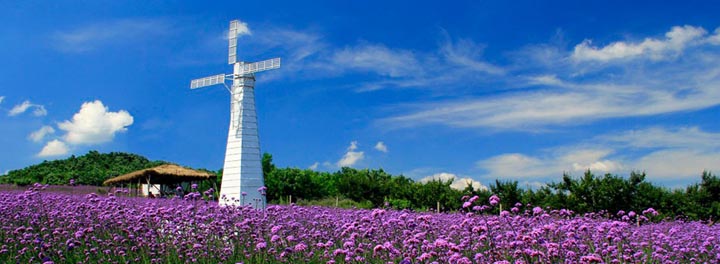 鄉(xiāng)村旅游規(guī)劃院：藍(lán)調(diào)薰衣草莊園旅游規(guī)劃鳥(niǎo)瞰圖