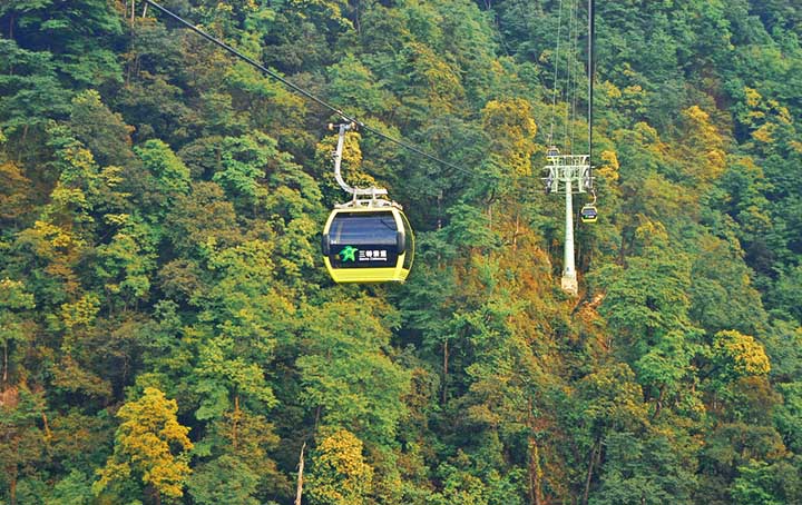 山地旅游策劃公司：山腰茂密的植被